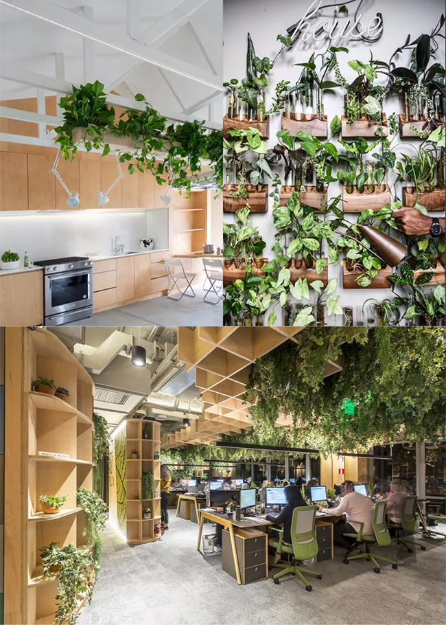 �H�����O(sh��)Ӌ(j��)