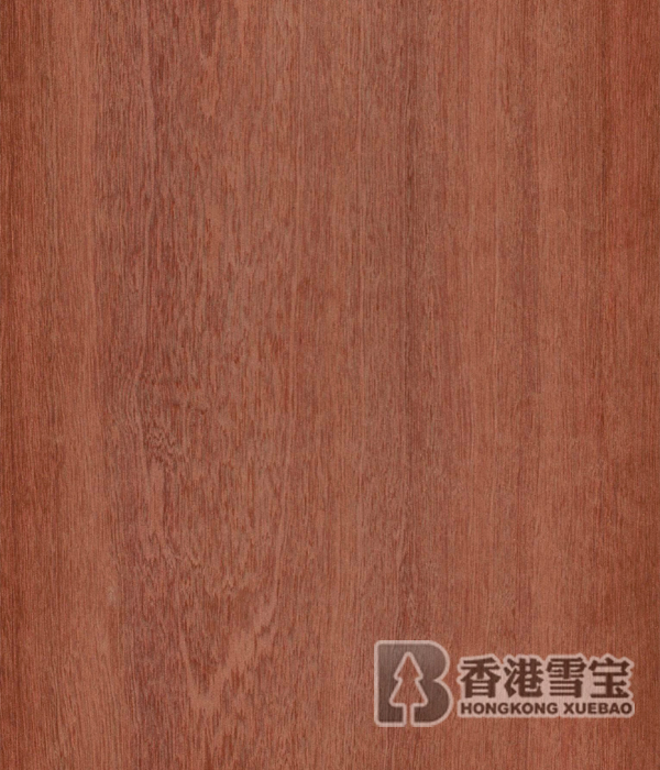 �¹����ķN��