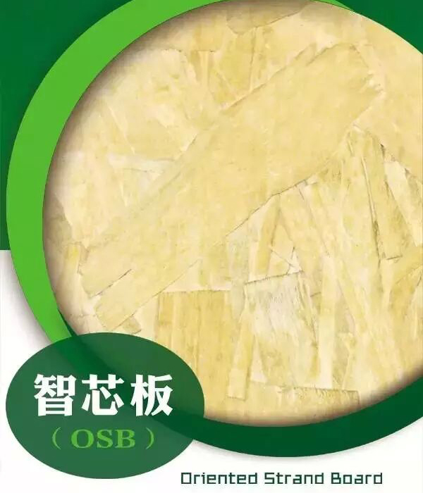 ѩ����о��-���ʮ��Ʒ��-OSB�����W�ɰ�