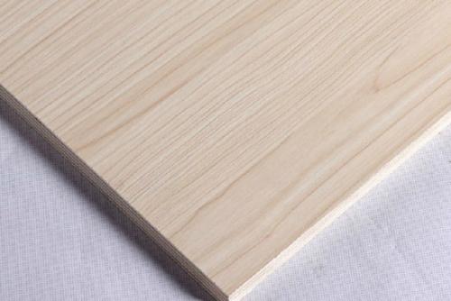 ��(sh��)ľ���B(t��i)��