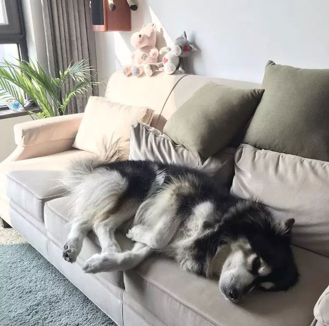 ���Ќ�������b���Լ��ļ������@Щ�����܎��톢�l(f��)��