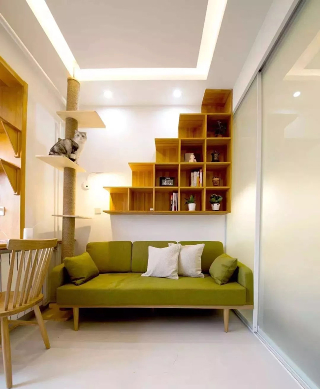 ���Ќ�������b���Լ��ļ������@Щ�����܎��톢�l(f��)��