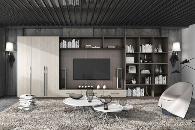 �����b�޵�ע�����(xi��ng)