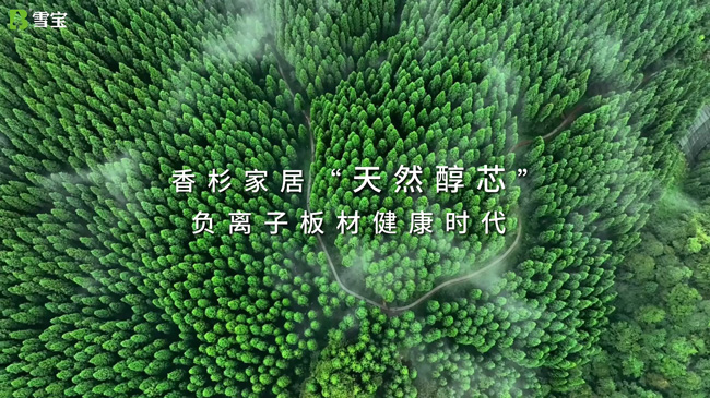 ��ʲôҪ�I��(sh��)ľ��������¹���