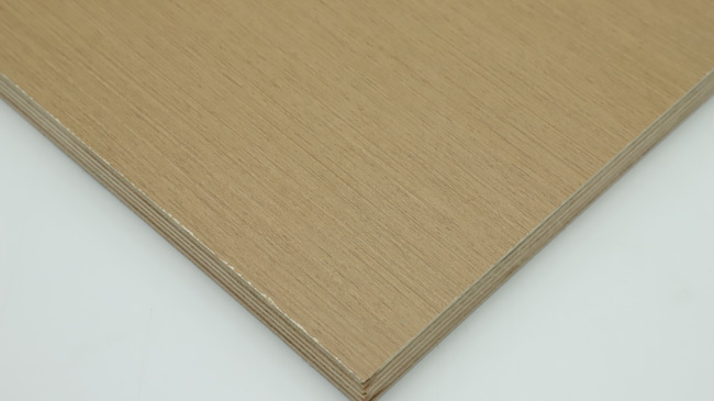 �Ҿ߰���ʲô����ʲôҪ�x��Ҿ߰���