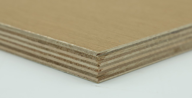 �Ҿ߰���ʲô����ʲôҪ�x��Ҿ߰���