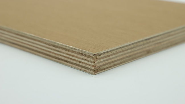 �b�޹�����ʲô��ģ�